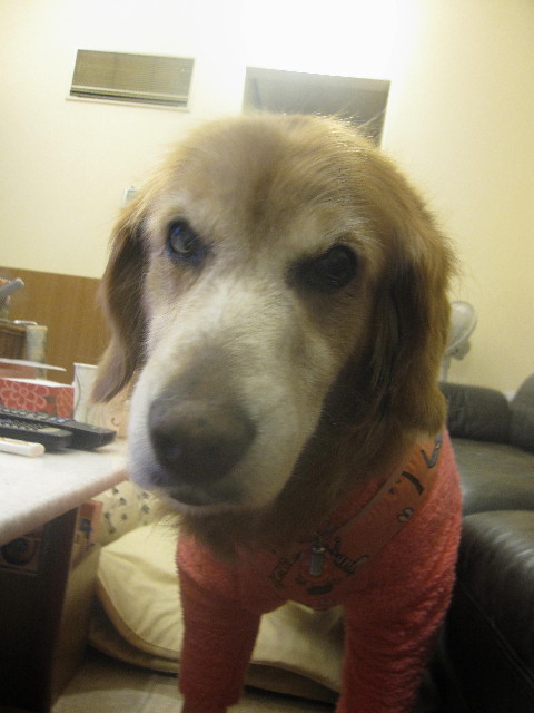 ファイル 2204-4.jpg