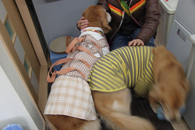 ファイル 2206-3.jpg