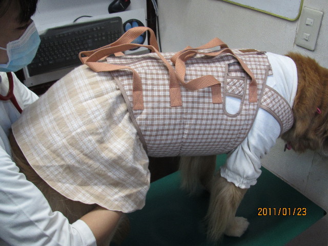 ファイル 2207-1.jpg