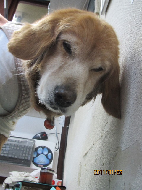 ファイル 2207-2.jpg