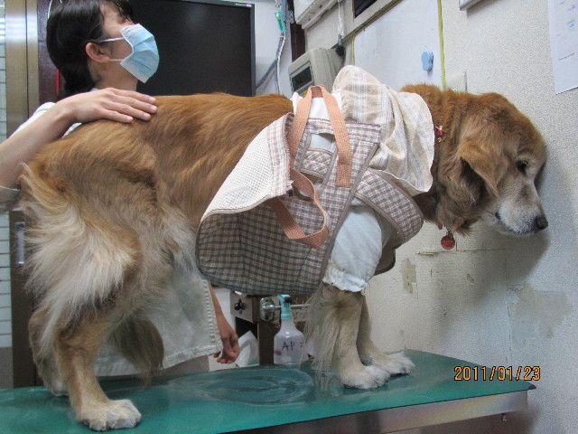 ファイル 2207-3.jpg