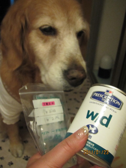 ファイル 2207-4.jpg