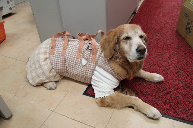 ファイル 2207-5.jpg