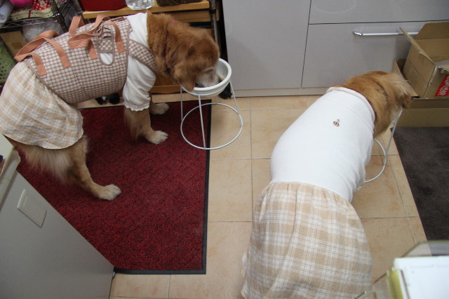 ファイル 2208-4.jpg