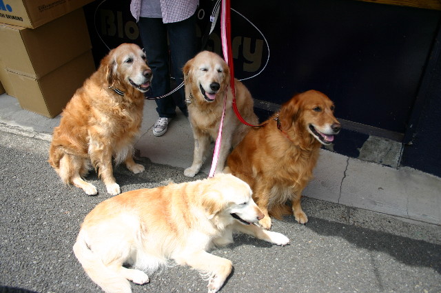 ファイル 2209-4.jpg