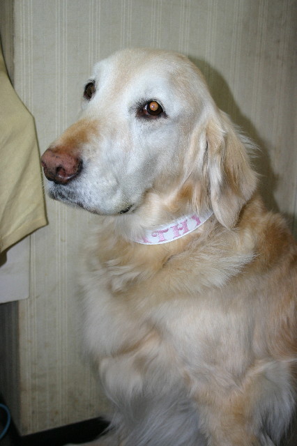 ファイル 2209-5.jpg