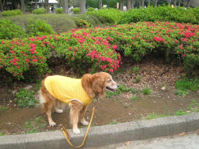 ファイル 221-2.jpg