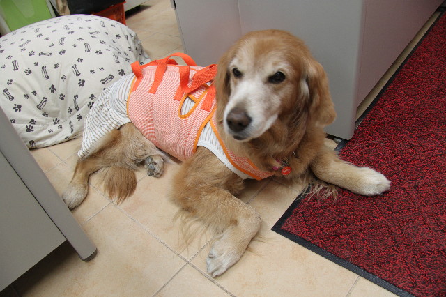 ファイル 2216-4.jpg