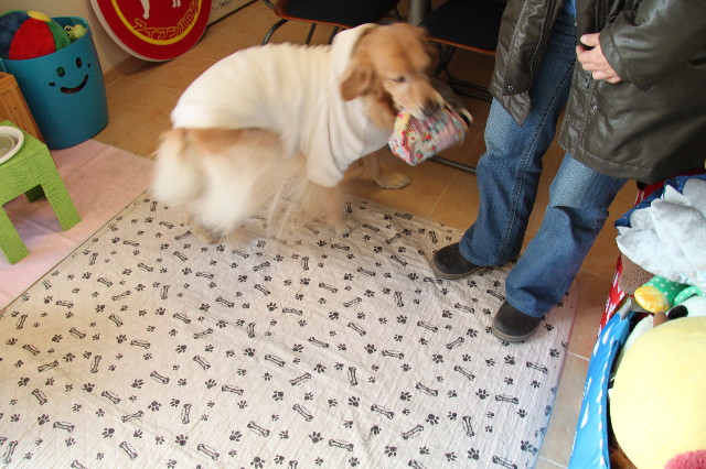 ファイル 2218-2.jpg