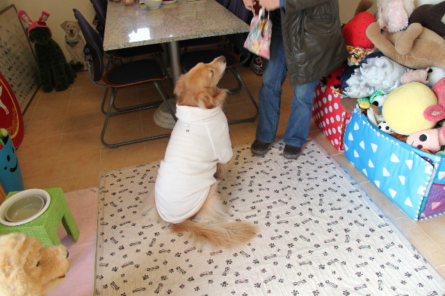 ファイル 2218-3.jpg