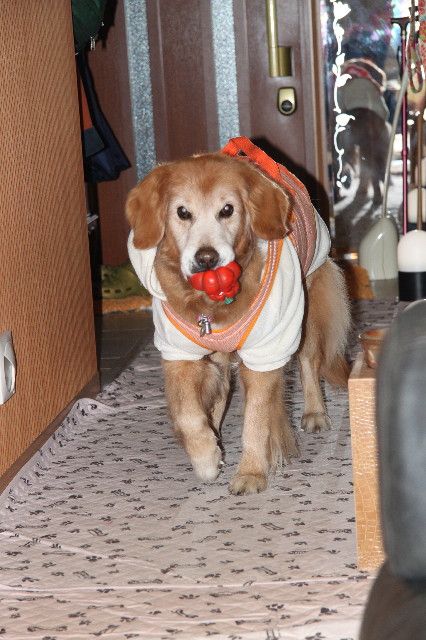 ファイル 2219-1.jpg