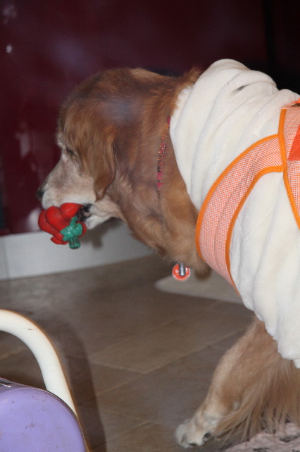 ファイル 2219-3.jpg