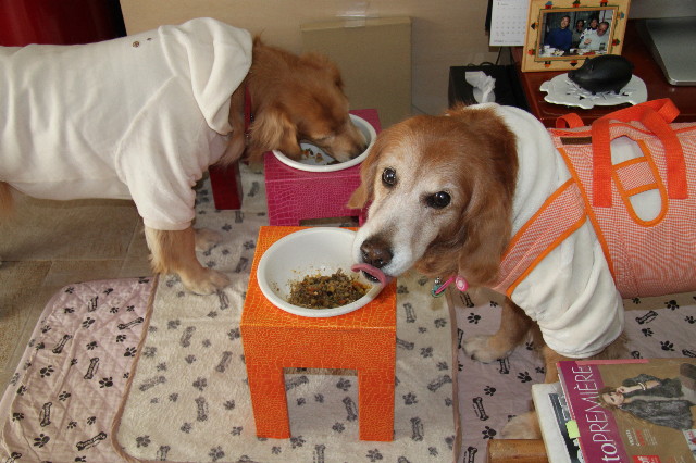 ファイル 2219-5.jpg