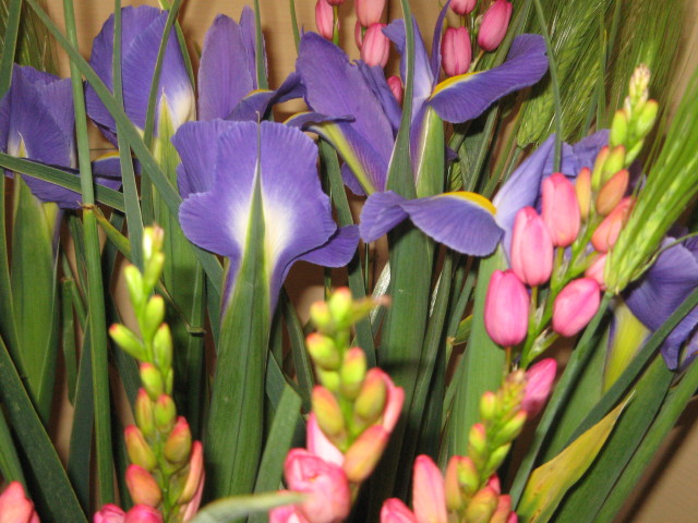 ファイル 222-2.jpg