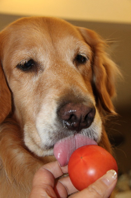 ファイル 2220-1.jpg