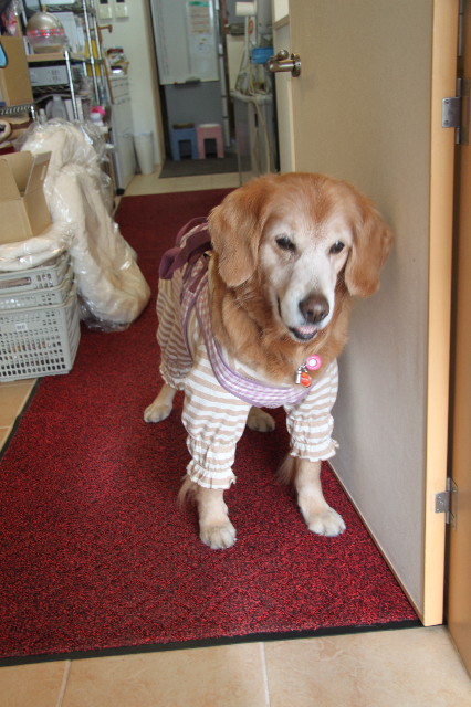 ファイル 2221-4.jpg