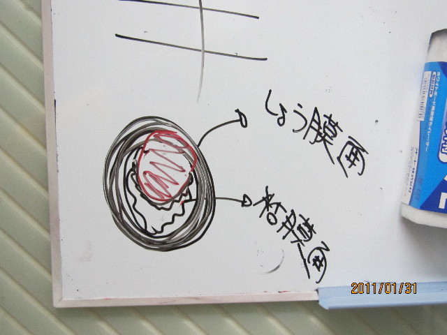 ファイル 2223-5.jpg