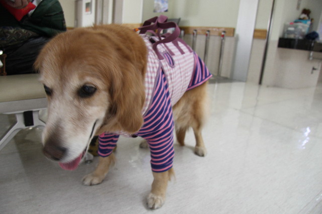 ファイル 2228-4.jpg