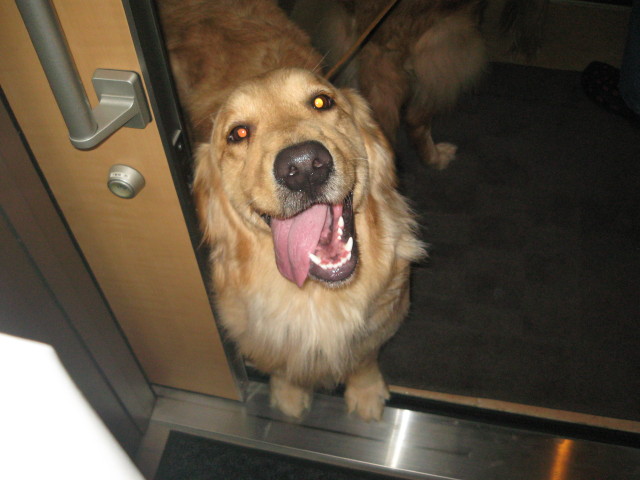 ファイル 223-1.jpg