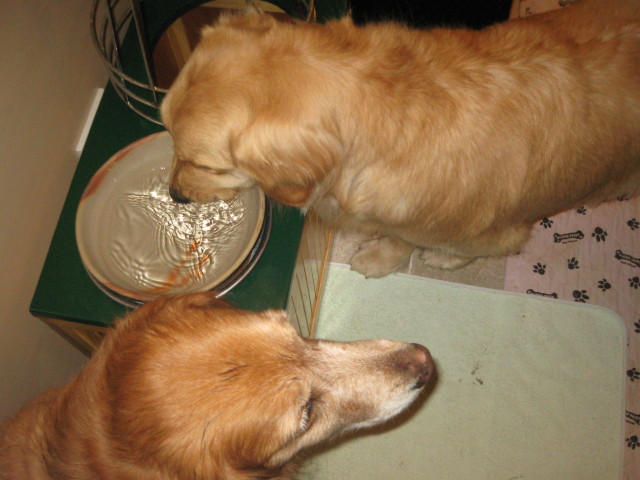 ファイル 223-2.jpg