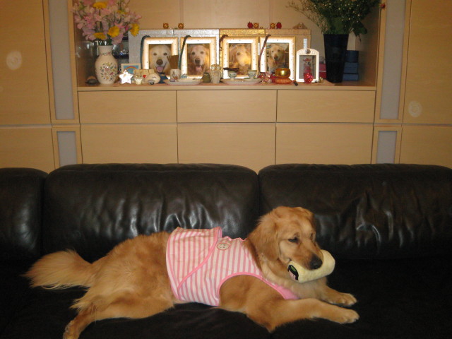 ファイル 223-4.jpg