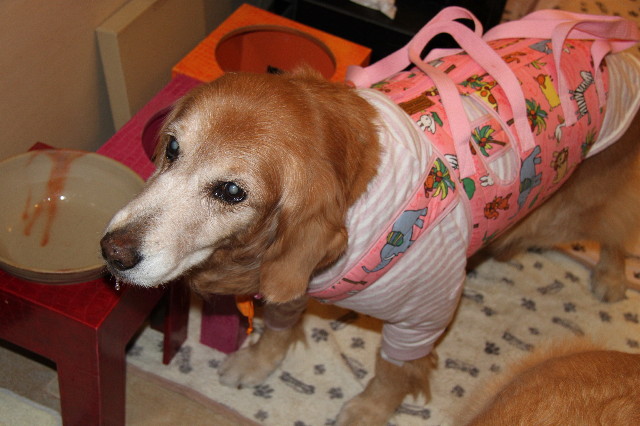 ファイル 2231-1.jpg