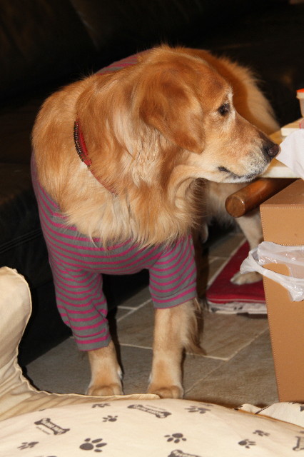 ファイル 2231-5.jpg