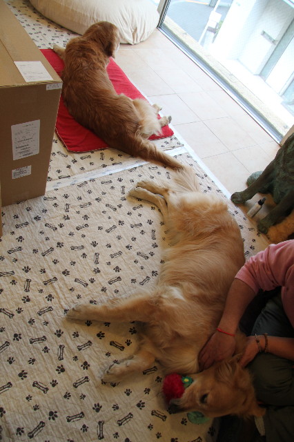 ファイル 2232-2.jpg