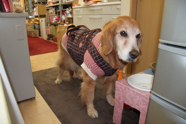 ファイル 2232-3.jpg