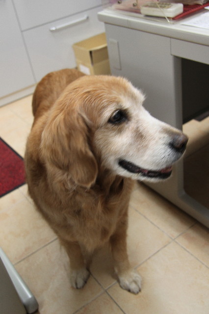 ファイル 2235-5.jpg