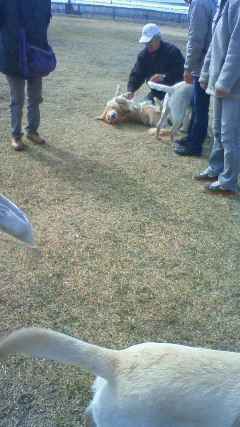 ファイル 2238-4.jpg