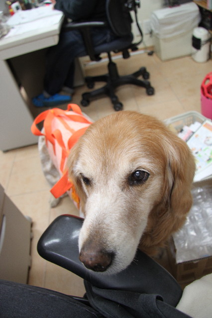 ファイル 2239-2.jpg