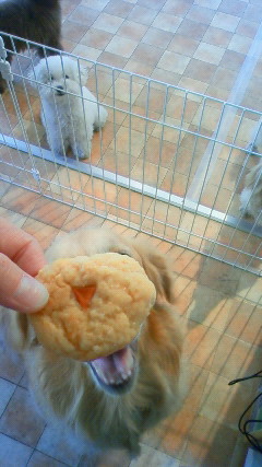 ファイル 2239-5.jpg