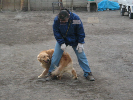 ファイル 224-2.jpg