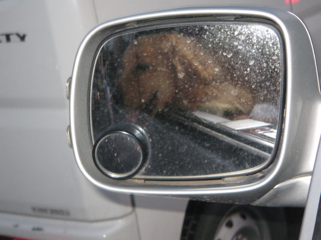 ファイル 224-4.jpg