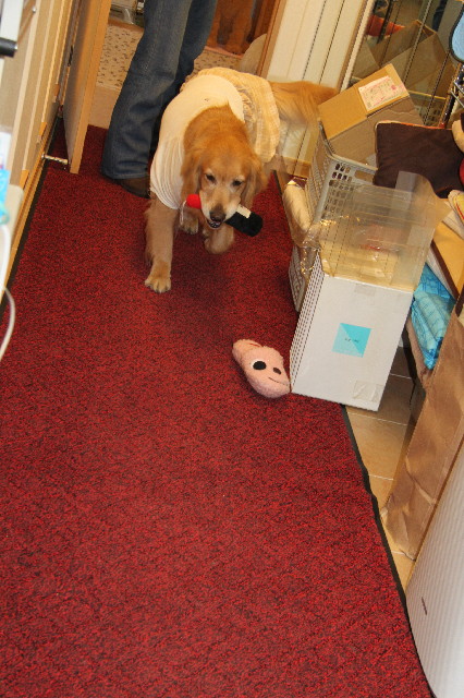 ファイル 2241-3.jpg