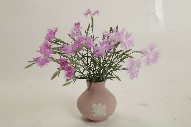 ファイル 2243-1.jpg