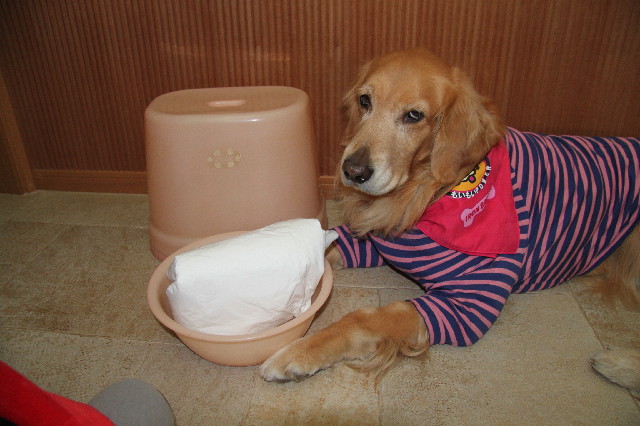 ファイル 2247-2.jpg