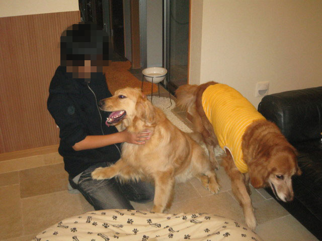 ファイル 225-2.jpg