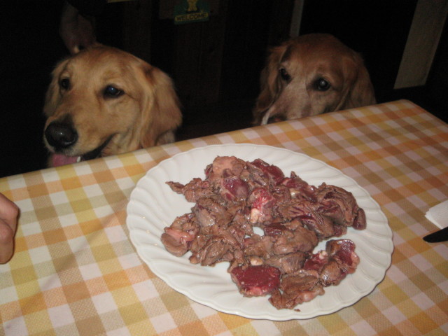 ファイル 225-4.jpg