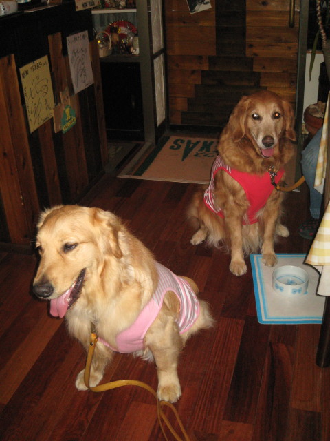 ファイル 225-5.jpg