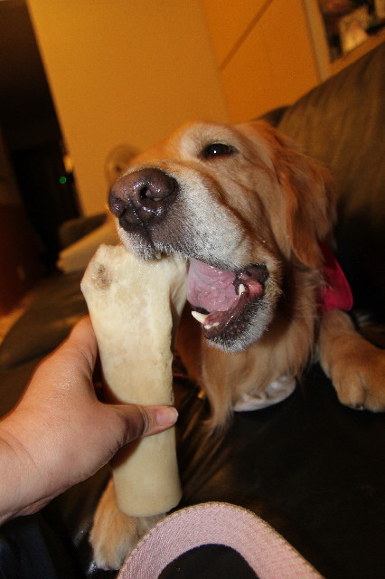 ファイル 2250-3.jpg