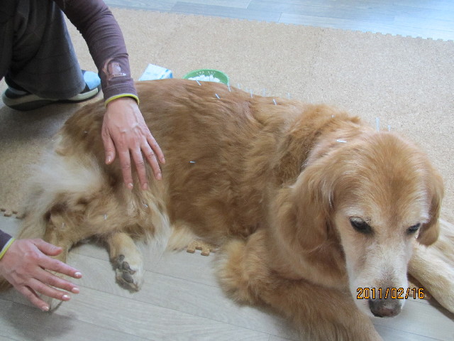 ファイル 2251-2.jpg