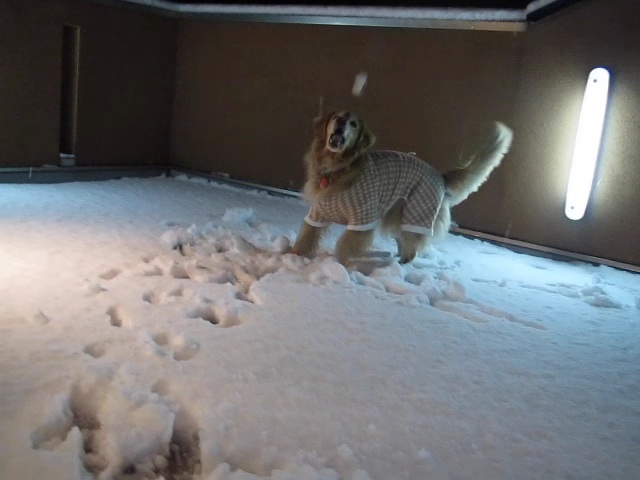 ファイル 2252-5.jpg