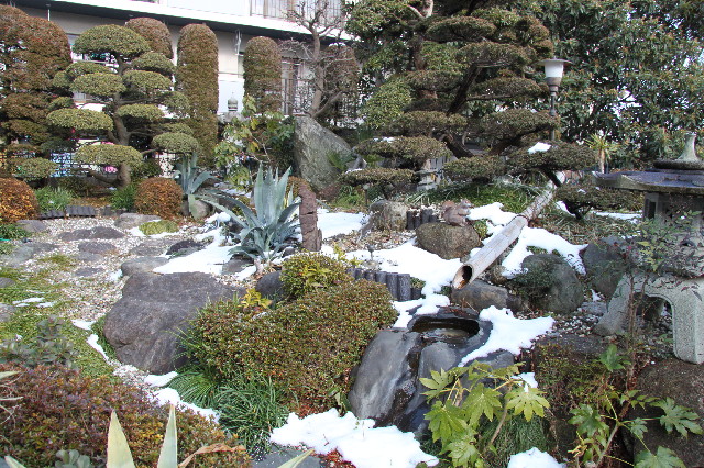 ファイル 2254-3.jpg