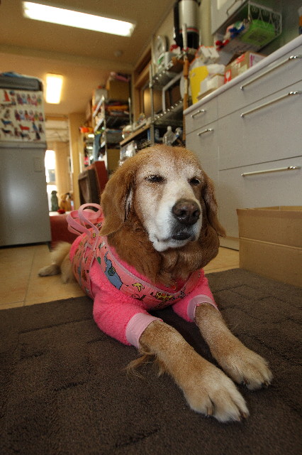 ファイル 2259-2.jpg