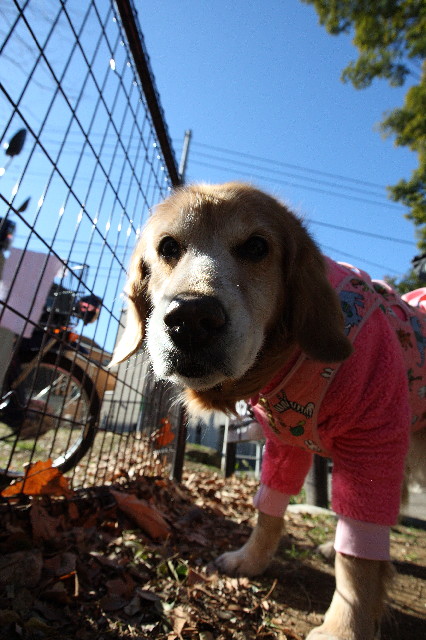 ファイル 2259-3.jpg