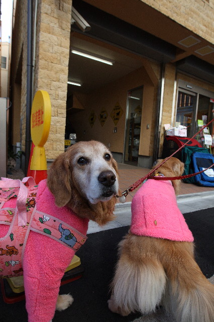 ファイル 2259-4.jpg