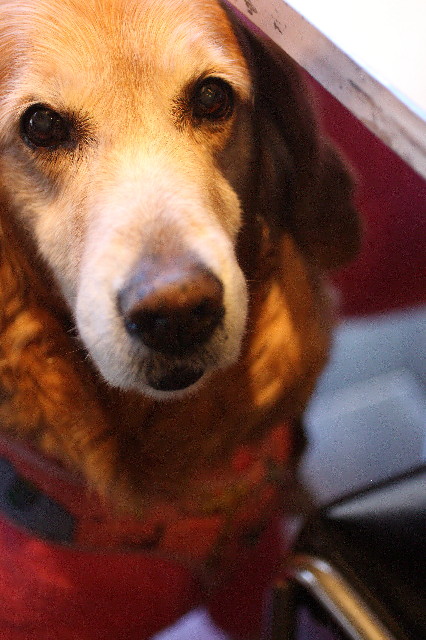 ファイル 2259-5.jpg