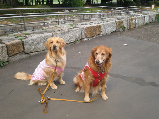 ファイル 226-5.jpg